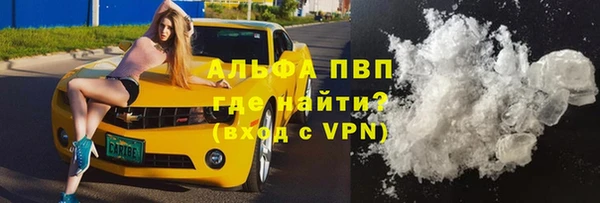 спайс Богданович