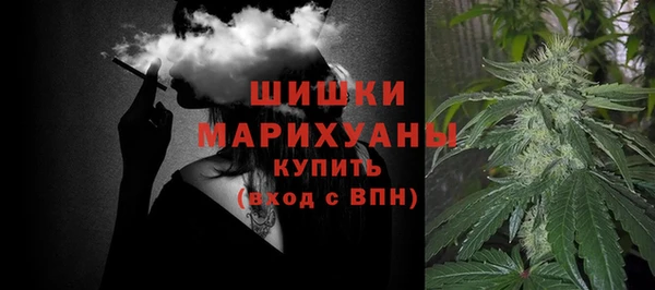 спайс Богданович
