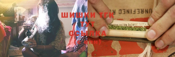 спайс Богданович