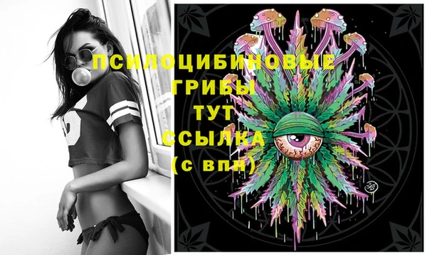 spice Анива