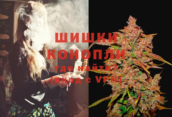 стаф Бородино