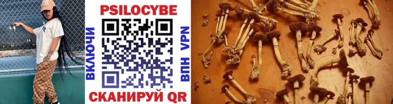 Псилоцибиновые грибы мицелий Бугульма