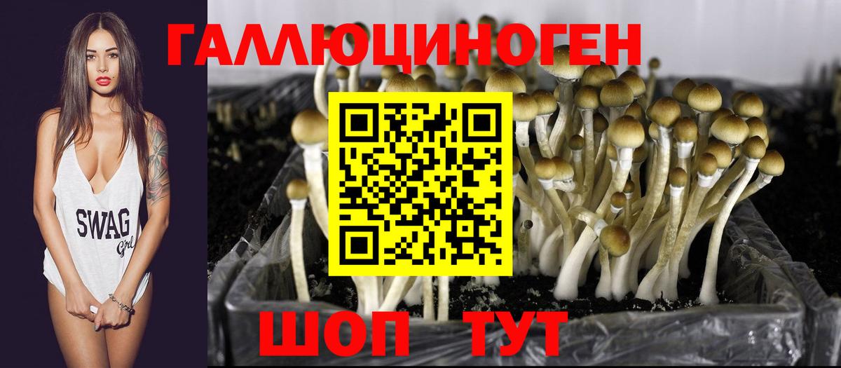 Бугульма  Псилоцибиновые грибы Psilocybe  Вход с VPN 
