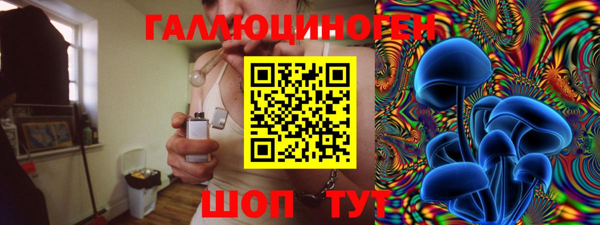 Псилоцибиновые грибы Psilocybine cubensis  Бугульма  Псилоцибиновые грибы мухоморы 